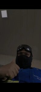 UrsoPeitudo01 Vem me ver صورة واحدة|UrsoPeitudo01 Vem me ver صورتان|UrsoPeitudo01 Vem me ver  2 صور|UrsoPeitudo01 Vem me ver  2 صورة