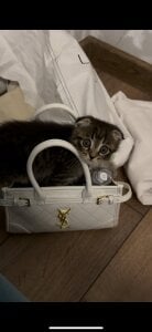 Public de TeriSchabbing  3 Imagens