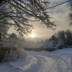 show vibe here de HollyGibson  5 Imagens