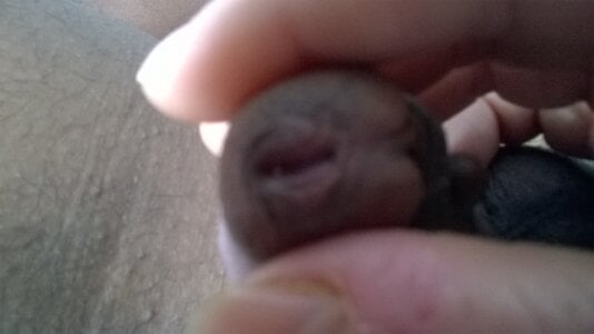 ToysLanka Public Pic 9