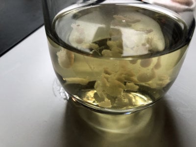 Drink de 911rsr Foto