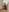 ratschi81 Dick hairy Foto  3