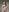 lunamuna1 Striptease for the most beloved🍓 Pic 4