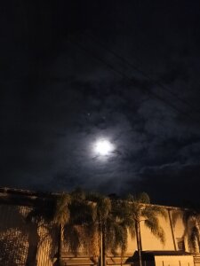 047joaosc Dia a dia Fotka 5