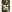 YourBabyPearl Farm Girl Fotografie 4