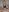 chloe_rose69 Let's go to my bedroom Pic 7
