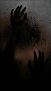 King_cotize Public Kuva 4