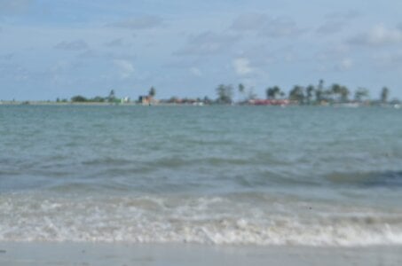 Public de omagrinho_dotado  Imagens