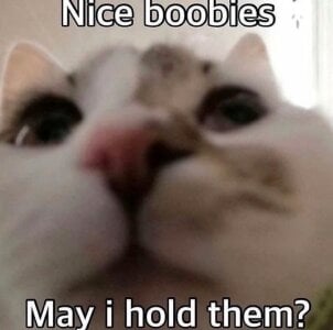 So_audrey memes! Pic 2