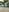 Mama_Eva_1 Naughty wet in rice farm 💦❤️ Photo 7