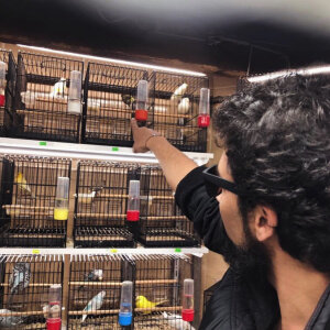 MasterKARATASSAKK Public Immagine  5