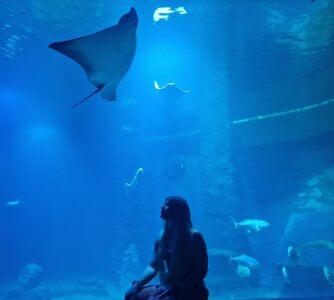 Foxy_Bright Public Εικόνα 6