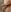 SexGoddess_Celinee & INCHES HARD COCK Photo