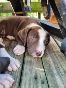 Footlover89895 Public Pic 2