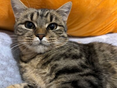 pure_radiance1 Weekend 💓 Immagine  3