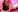 MeganHopeX Be my Valentine! ❤️ Pic 6