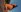 SofiaAdamsBy the pool照片 5