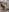Magnietik photoshoot hot Casa del papel 🔞 Pic 2