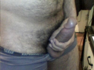 BearPuppyBrasil eu Pic