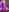 katt__y Fanclub #1 Pic 2