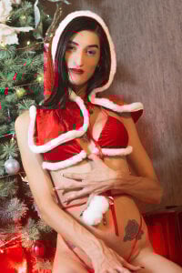 lily_cash1 Christmas зображення 2
