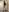ZaraDarrel angel or demon Photo 5