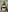 PerlaDivaio my body my ion Photo 6