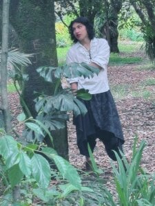 -BlueOpal- Day in the Forest. Foto