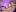 ScarletColes Have you saw a naked..."bunny" before? 🥵 Pic 2
