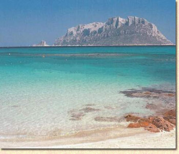 Sweet_Daddy_John Sea Daddy Life 🪼🌊🏖️🌞 Billede 3