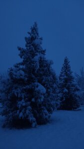 MinaMancilla winter vibe Pic