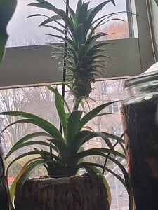 LaloSalamanca69 Public Immagine  9