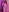 Shirley_Thomas Naked Photo 2