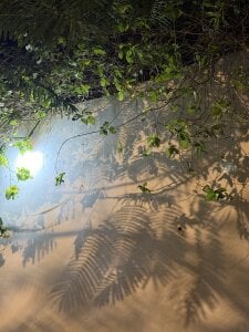 nian_nian_ kullanıcısının 01/16 是浪漫也是孤独（厦门音乐沙滩） albümü -  4 fotoğraf