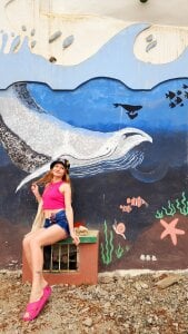 Vanessa_Norris 🐬🐬🐬 Pic 3