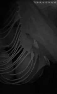 PweedyEyes Public صورة واحدة|PweedyEyes Public صورتان|PweedyEyes Public  4 صور|PweedyEyes Public  4 صورة