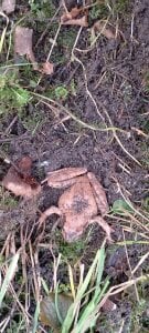 Pavlosss Public Bilde 4