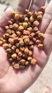 rainyboy8520 Sex Pic