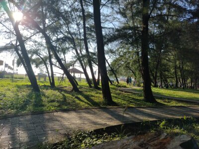 Nidhinchirackal Public Pic