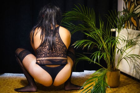 Dark_Cygnus Public Pic 2