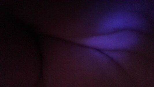 Bear0024 Public Billede 2