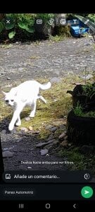 Ortiz3404 Fee зображення