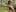 _Soo_dreamy_Wild Oily Muscles图片 6
