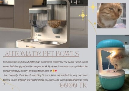 Mira_Fyre Gifts for Persik! Pic 4