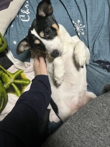 Alvin__Lin Public Pic 4