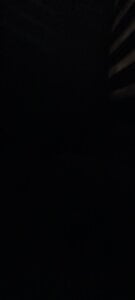 ValiantSemitic: Gt ( фото)