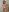 School_TeachのCristmas Pregnant naked photo (different cristmas costume)の 7枚の写真
