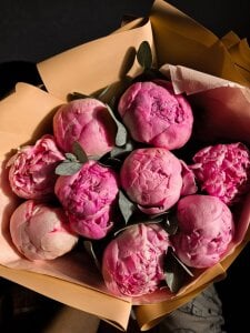 Xonalenei Public Foto 3