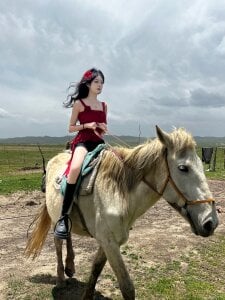 Retro-8090S UU 사진 2