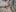 kate_picture_ some a pieces of my body Pic 5